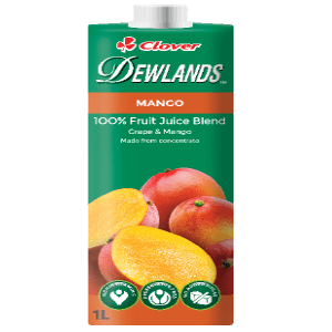 Dewlands Mango Juice 1Lit
