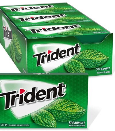 Trident Gum Mint 12pcs