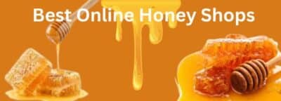 Best Online Honey Shop