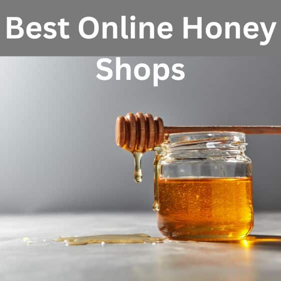 Best Online Honey Shops